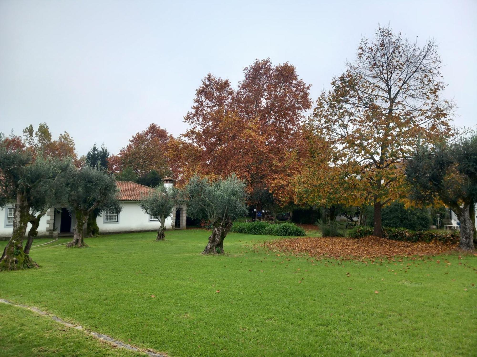 Holiday home Casa Do Zagao - Turismo Rural *