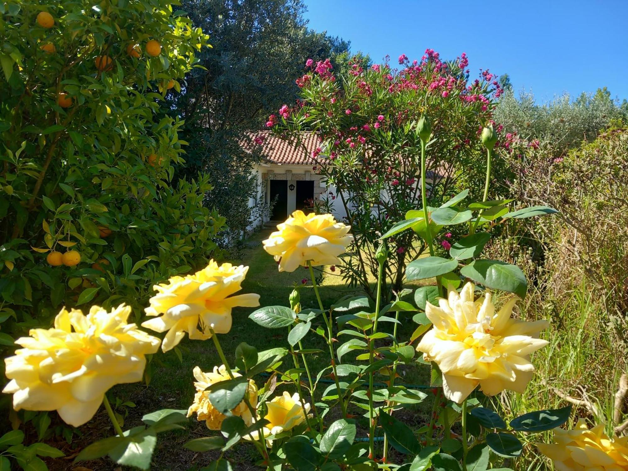 Casa Do Zagao - Turismo Rural