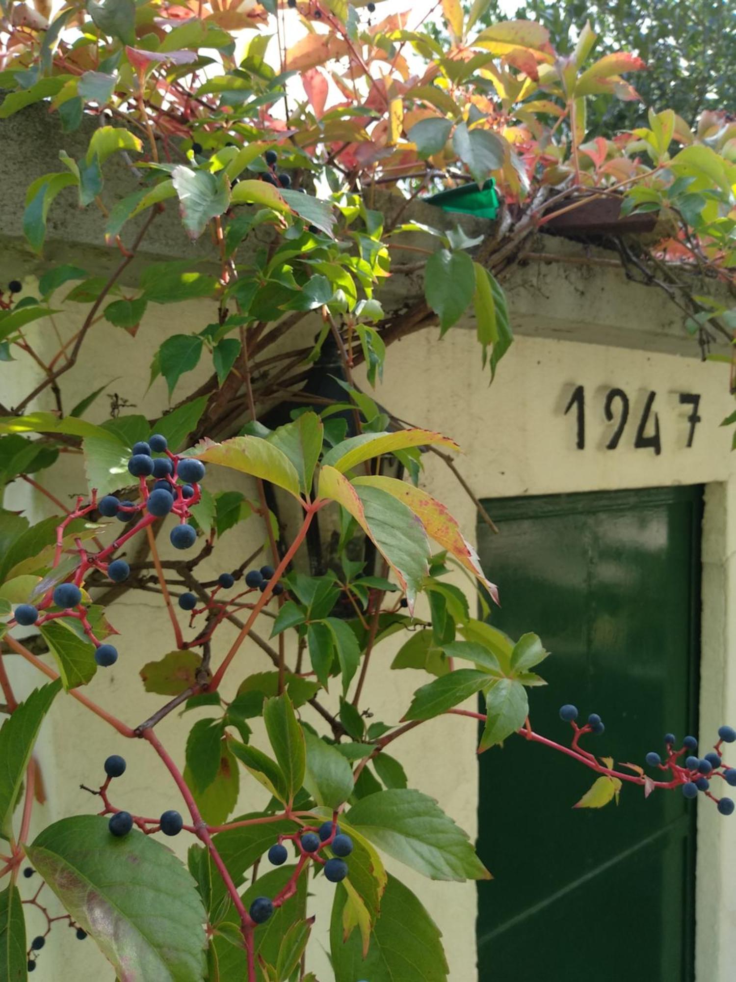 Casa Do Zagao - Turismo Rural