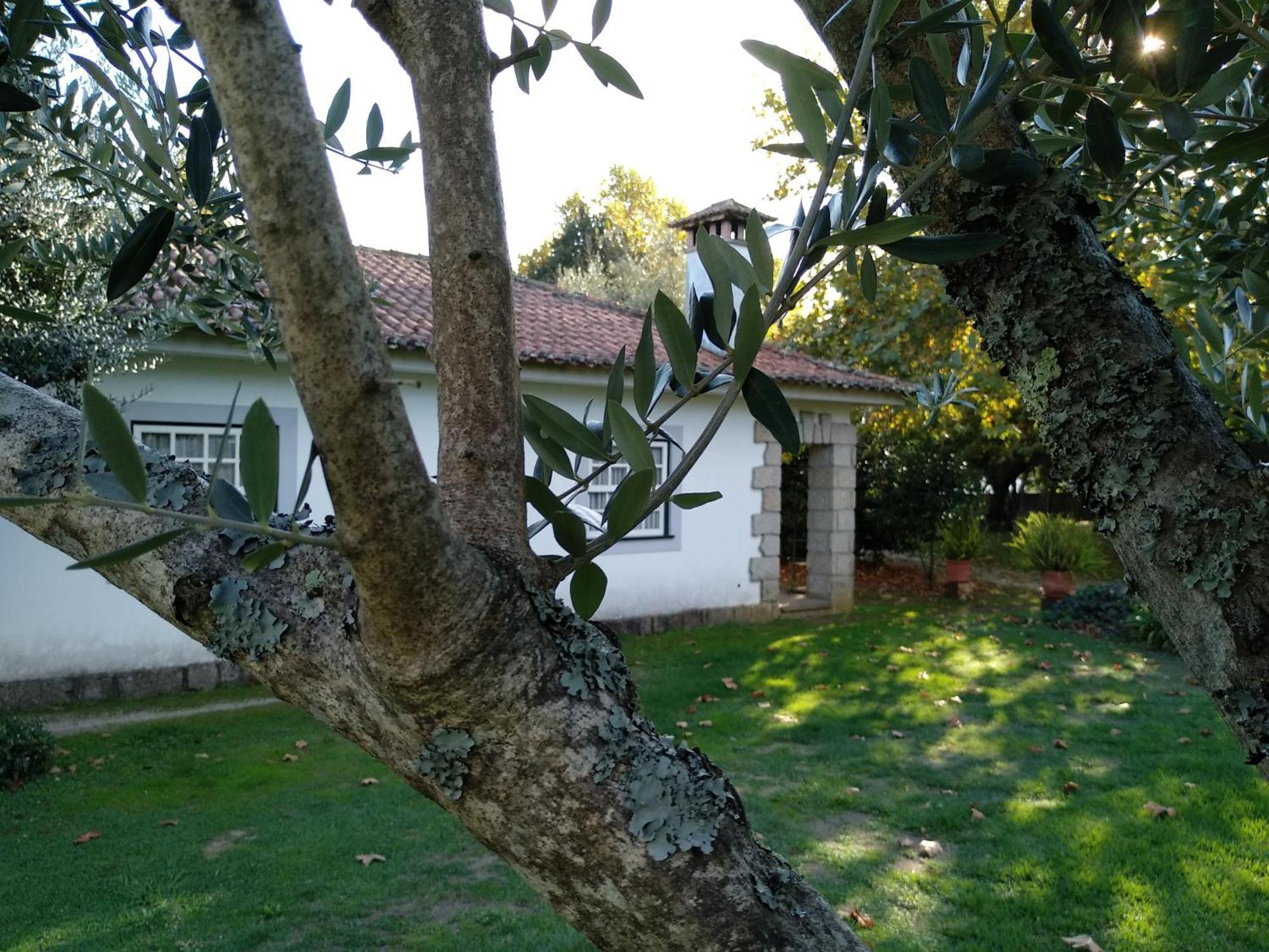 Holiday home Casa Do Zagao - Turismo Rural