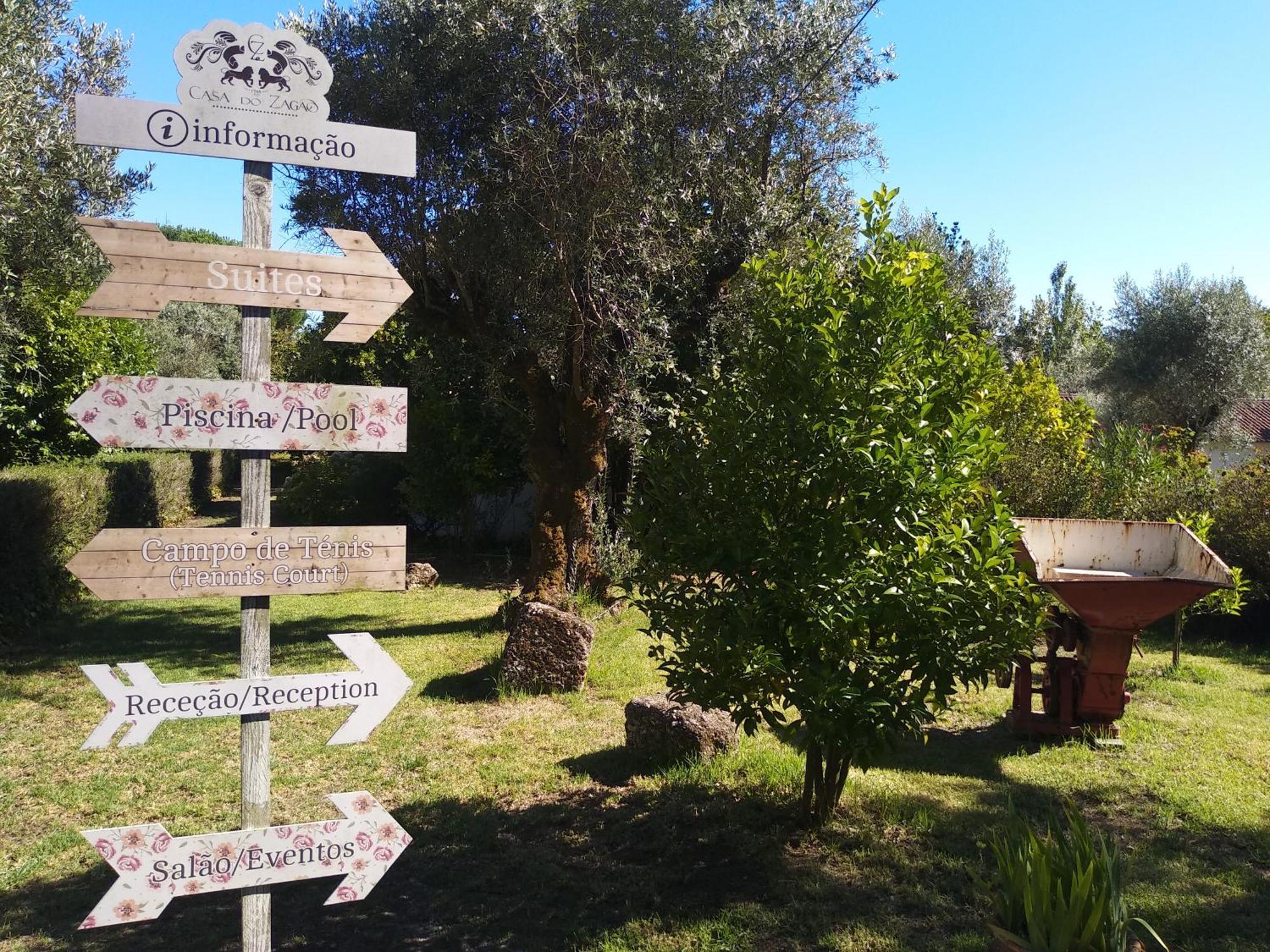Holiday home Casa Do Zagao - Turismo Rural *
