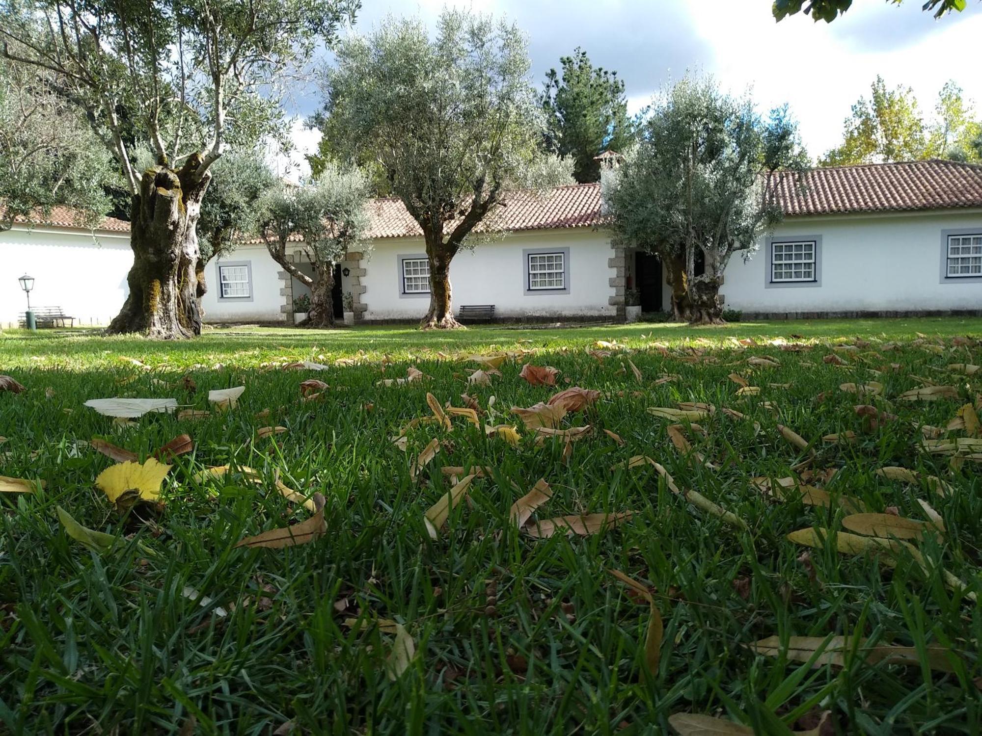 Casa Do Zagao - Turismo Rural Holiday home