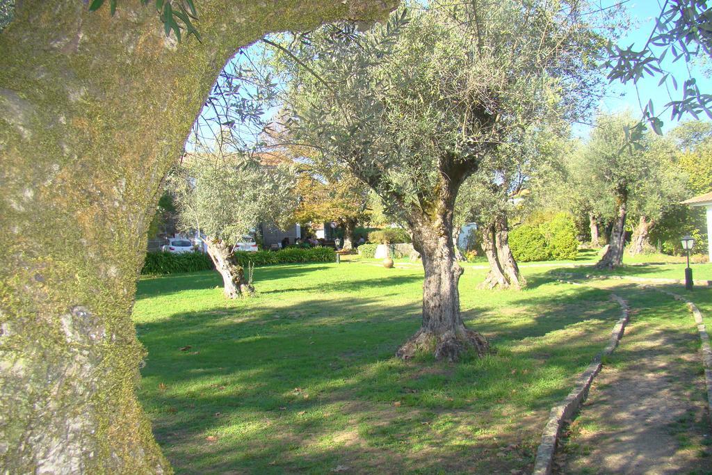 Casa Do Zagao - Turismo Rural Carregal do Sal