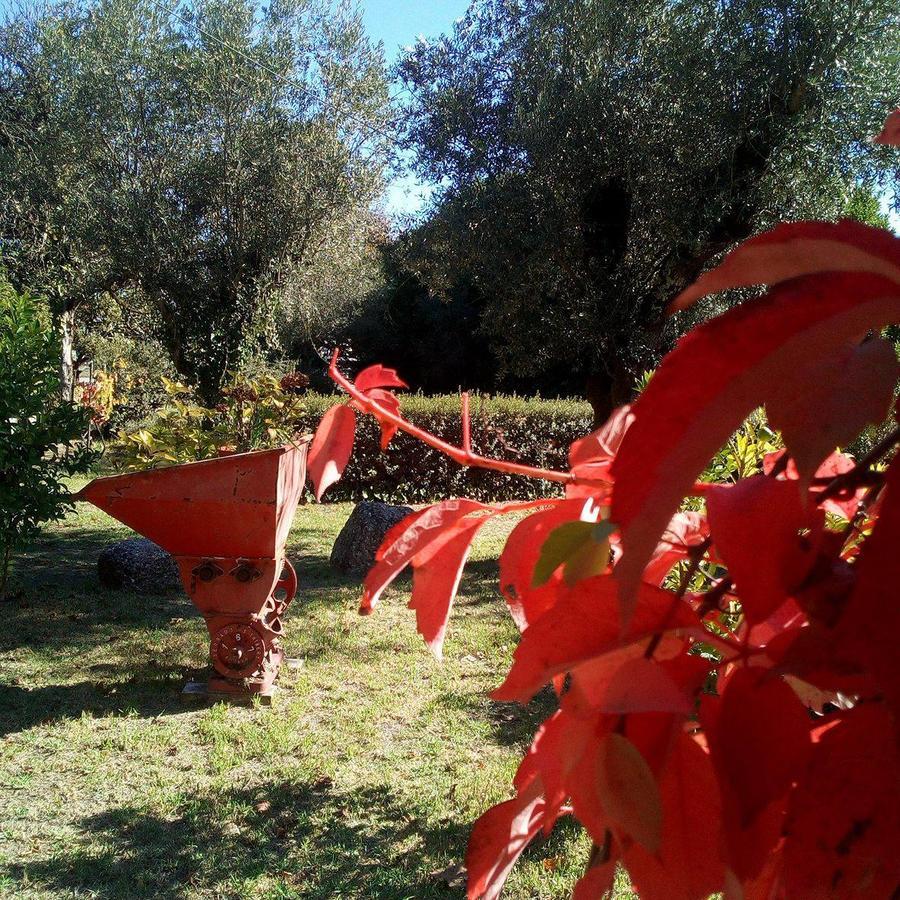 Holiday home Casa Do Zagao - Turismo Rural *